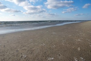 During high tide, this beach is completely submerged. The fellow who started Ocracoke's community radio station was nice enough to take me out to see it. Thanks again, Robert.